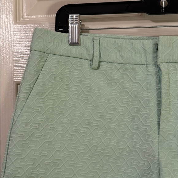 Banana Republic Light Green Women's Shorts Size 8 - Picture 2 of 7
